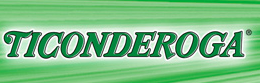 Ticonderoga Pencils & Erasers