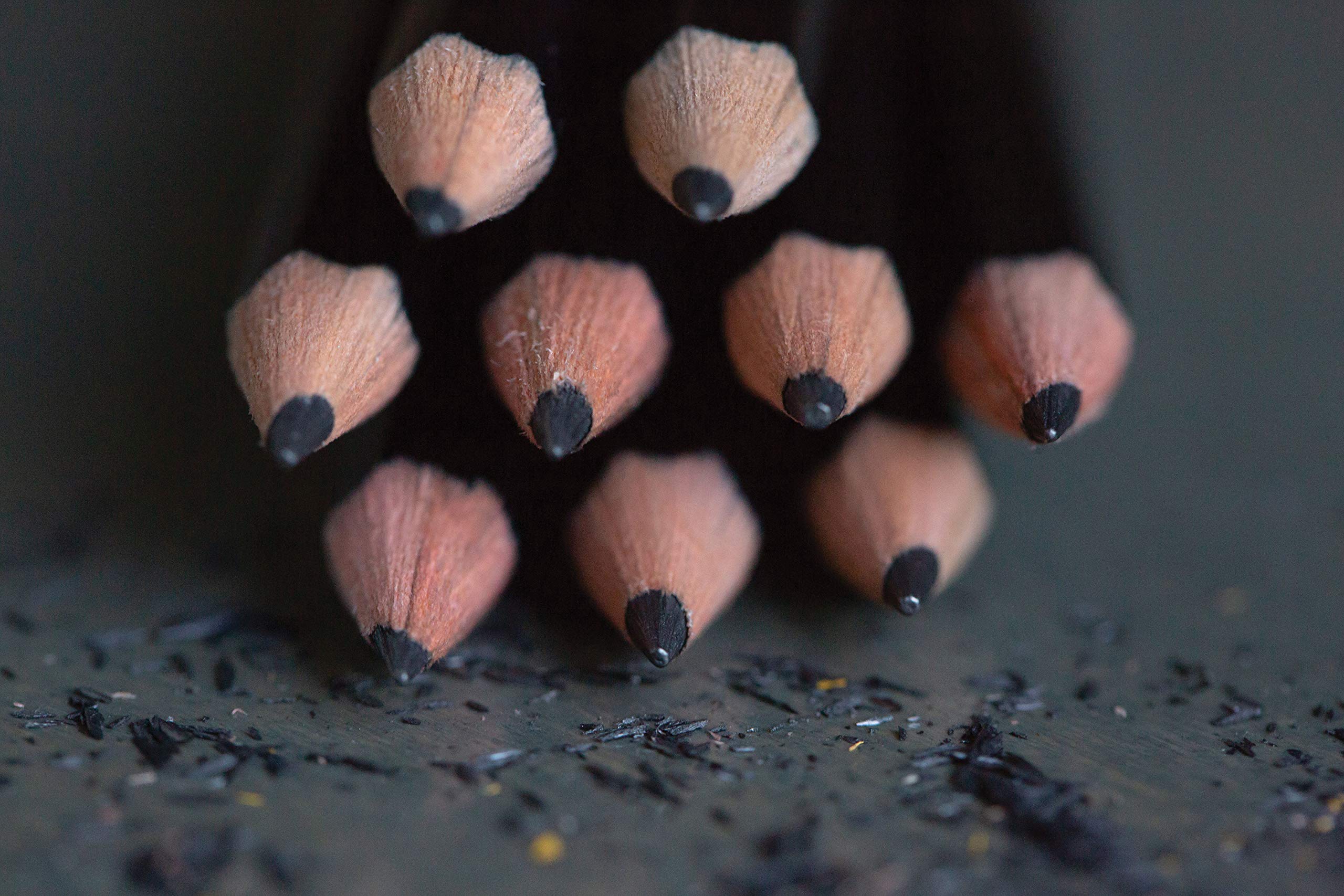 Ticonderoga Wood-Cased Pencils, 2 HB Soft, Black, 24 Count - Image 8